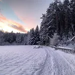 Waldchalet Am Eichhof Chalet *