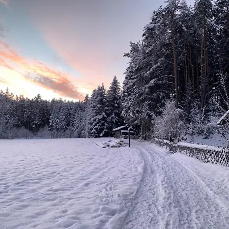 Waldchalet Am Eichhof Dağ evi *