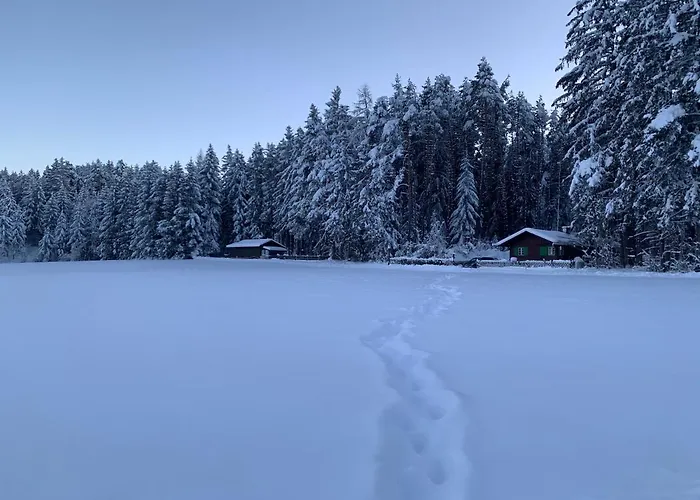 Waldchalet Am Eichhof Chalet