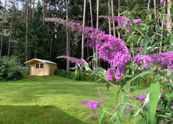 Waldchalet Am Eichhof בקתה אינסברוק