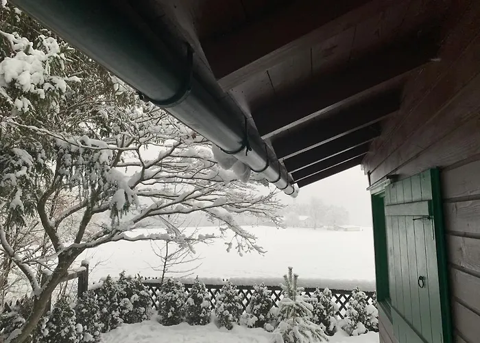 Waldchalet Am Eichhof בקתה