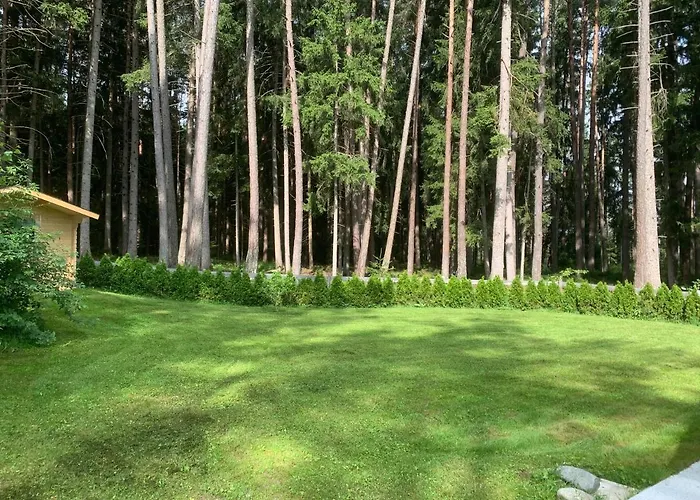 Waldchalet Am Eichhof Σαλέ Ίνσμπρουκ